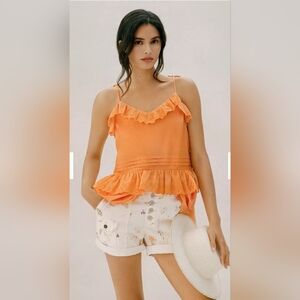 Anthropologie "The Wanderer" Shorts Size 26 Light Blue / Tan SOLD OUT ONLINE